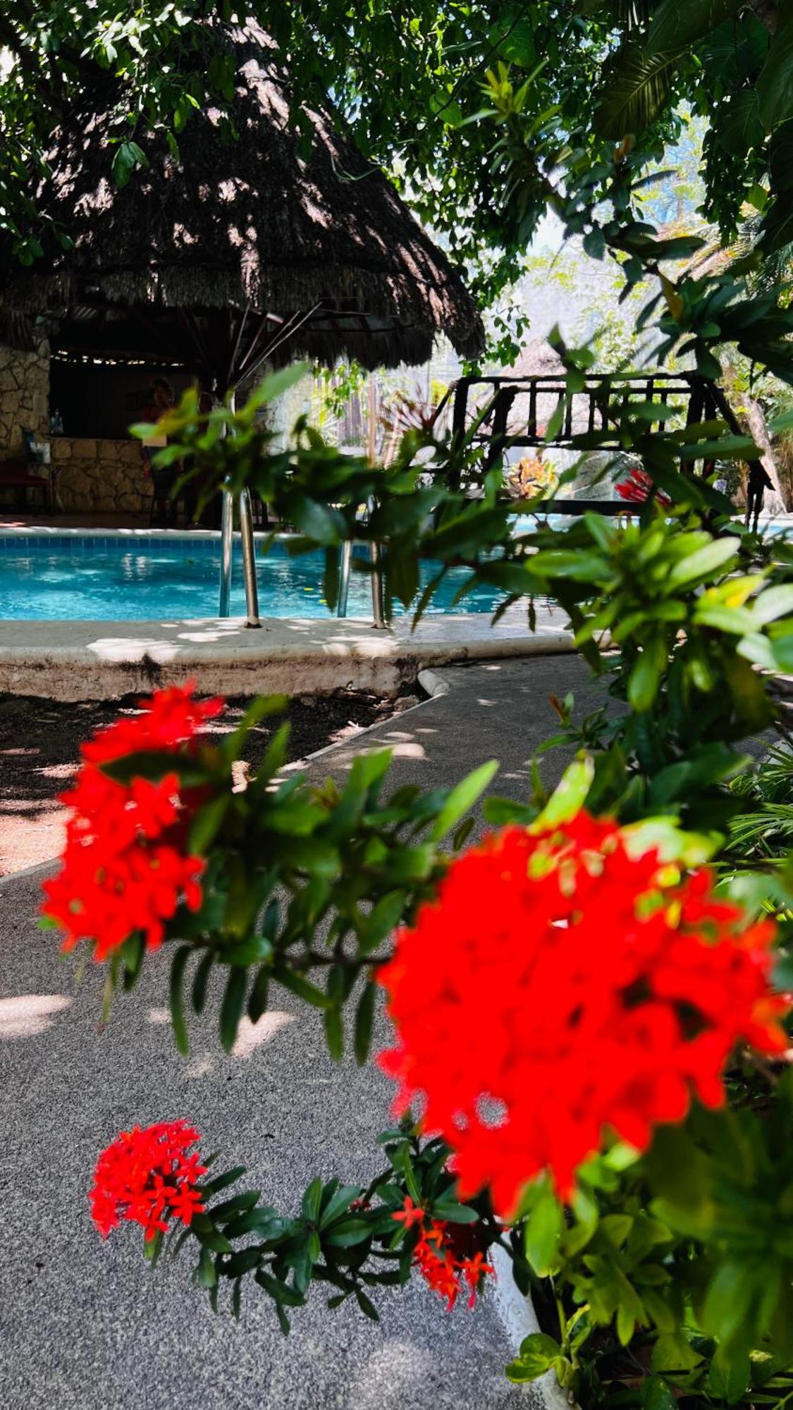 Mayan Art Hotel 10 Avenue Плая-дель-Кармен Экстерьер фото